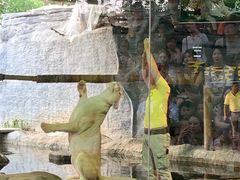 -清迈夜间动物园