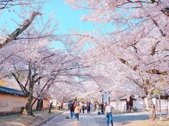 -醍醐寺