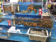 -睿柏云酒店-餐厅
