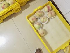 -老袁家蜜桃农场·阳山水蜜桃