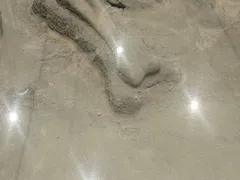-大庆市博物馆