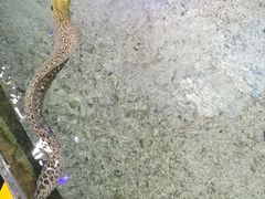 -鸿通城购物中心