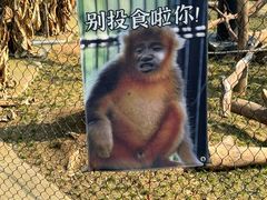 -武汉动物园