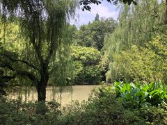 -上海滨江森林公园