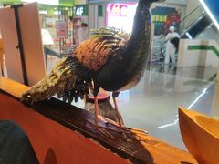 -云荷里·蒸汽石锅鱼·云南菜(中发百旺店)