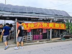 -马陆小张葡萄园农家乐