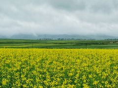 -扁都口生态休闲旅游区