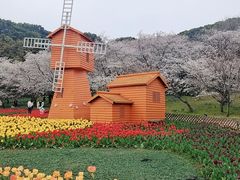 -苏州上方山国家森林公园