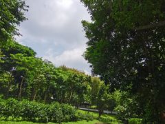 -深圳国际园林花卉博览园