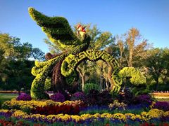 -国家植物园