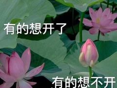 -大成活海鲜烧烤龙虾(静安大融城店)