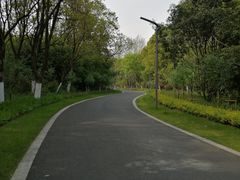 -昆山城市生态森林公园