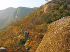 -大岭沟猕猴桃谷风景区