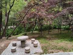 -观象山公园