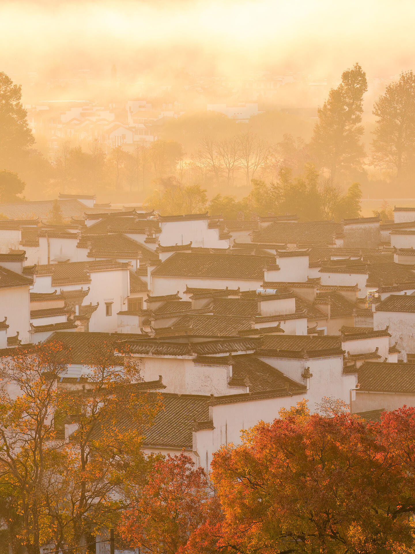 如果说春夏的江南是江浙的古镇水乡
那么秋天的江南便是徽州的水墨