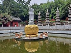 -泰山风景名胜区-普照寺