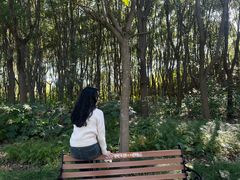 -昆山城市生态森林公园