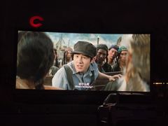 -枫花园汽车电影院(朝阳公园店)