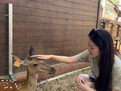 -南戴河国际娱乐中心