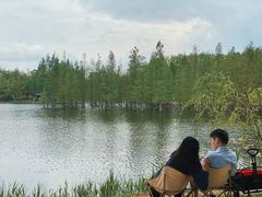 -白鹭湾湿地公园