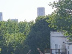 -合肥野生动物园