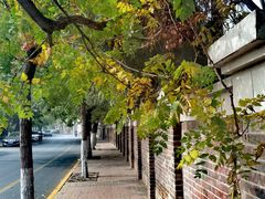 -天津五大道文化旅游区