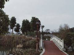 -眉山湿地公园(东坡区)