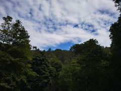 -东莞市大岭山森林公园