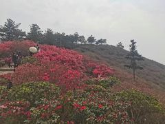 -木兰云雾山