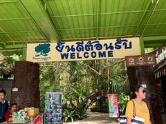 -绿光森林餐厅