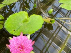 -国家植物园南园