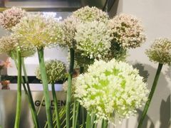 -靳晖金百合花艺GOLDENLILY(南院门店)