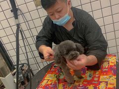 -熊小胖宠物生活馆(天华园店)