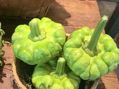 -滇铺子·云南特色菜·第九届野生菌美食节(曲靖万达店)