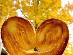 -中关村茶点