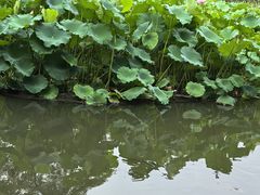 -成都杜甫草堂博物馆