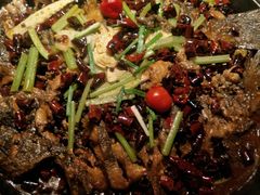 -老板恋上鱼(印象城店)