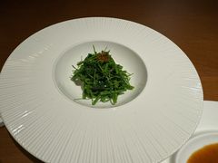 -觀芷隐轩