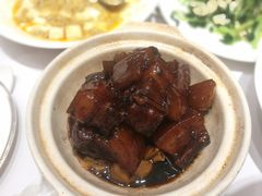 -新吉士·上海菜(浦东LCM置汇旭辉店)