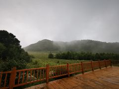 -白草畔自然风景区