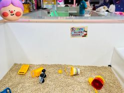 -蹦蹦乐园(南桥百联店)