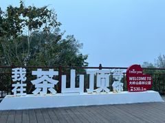 -东莞市大岭山森林公园