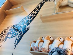 -ZOO COFFEE动物园咖啡(望京锐创店)