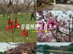 -福建鲤鱼洲酒店
