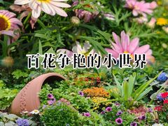 -东莞植物园