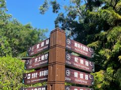 -野象谷景区