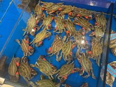 -新洪记·丽久饭店(铁西店)