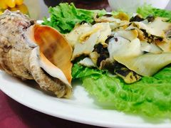 -烁佳海鲜大馅饺子