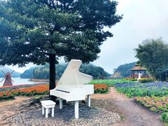 -广州市石门国家森林公园