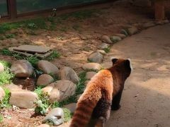 -云南野生动物园